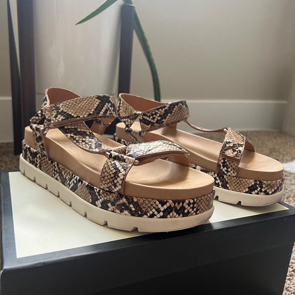 J/Slides snake print sandal